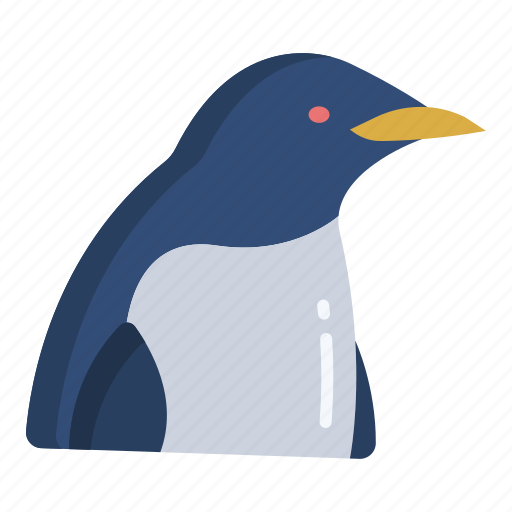 Penguin icon - Download on Iconfinder on Iconfinder
