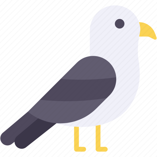 Gull, seagull, bird, fauna, wild, life, birds icon - Download on Iconfinder