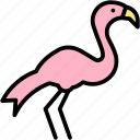 pink, flamingo, floyd, wild, life, bird