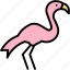 pink, flamingo, floyd, wild, life, bird 