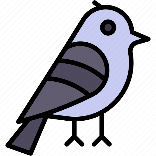 Quail, zoology, ornithology, beak, feathers, bird icon - Download on Iconfinder