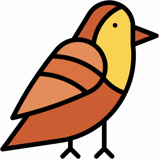 Robin, bird, ornithology, zoo, animals, animal icon - Download on Iconfinder