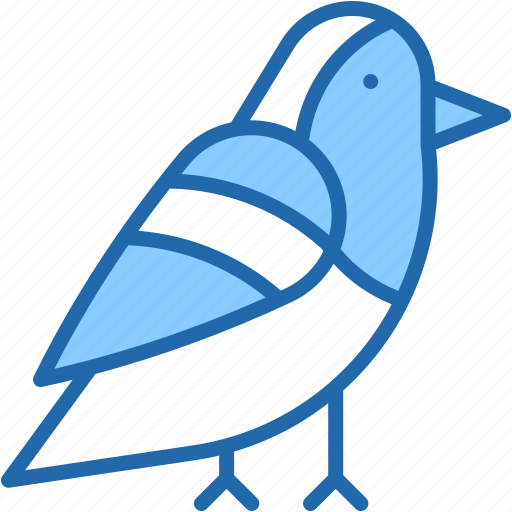 Robin, bird, ornithology, zoo, animals, animal icon - Download on Iconfinder
