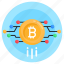 bitcoin network, money network, financial network, blockchain network, cryptocurrency network 