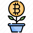 plant, bitcoin, cryptocurrency, growth, sprout