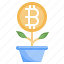 plant, bitcoin, cryptocurrency, growth, sprout