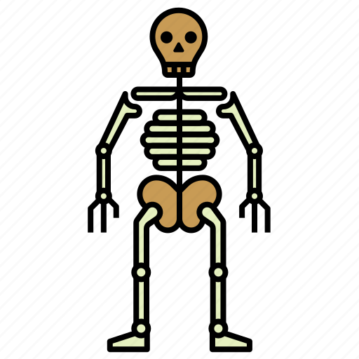 Anatomy, body, human, person, skeleton icon - Download on Iconfinder