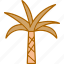 palm, tree, desert, exotic 
