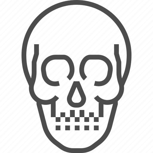 Skull, joint, bone, skeleton, orthopedic icon - Download on Iconfinder