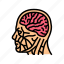 head, brain, human, mind, idea, abstract 