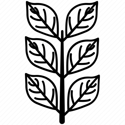 Branch, ecology, gardening, leaves, petals icon - Download on Iconfinder