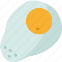 egg, fried, cooking, cuisine, food