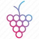 grapes, food and restaurant, grape, bouquet, food, fruit, berry