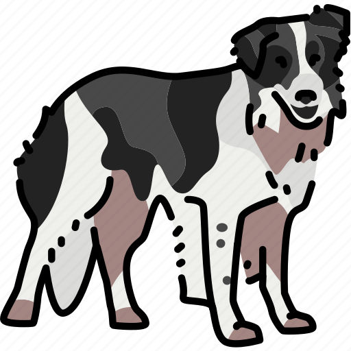Border, collie, dog, breed icon - Download on Iconfinder
