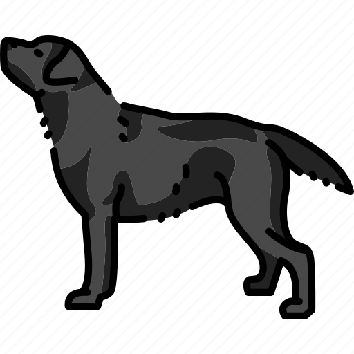 Labrador, retriever, dog, breed icon - Download on Iconfinder