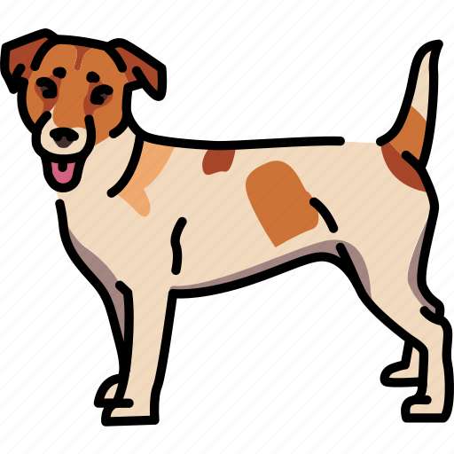 Jack, russell, dog, breed icon - Download on Iconfinder
