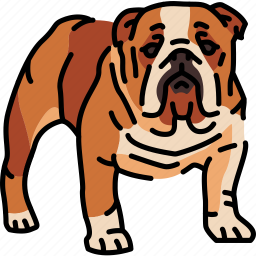 English, bulldog, dog, breed icon - Download on Iconfinder
