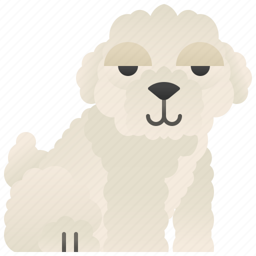 Bichon, cute, frise, furry, puppy icon - Download on Iconfinder
