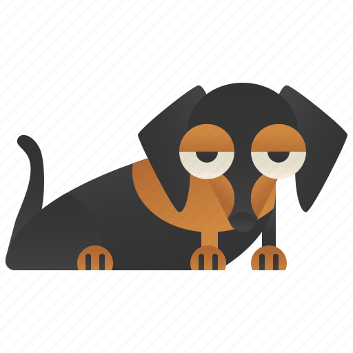 Animal, cute, dachshund, dog, friendly icon - Download on Iconfinder