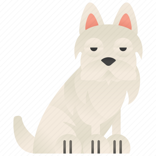 Cute, pet, puppy, terrier, white icon - Download on Iconfinder