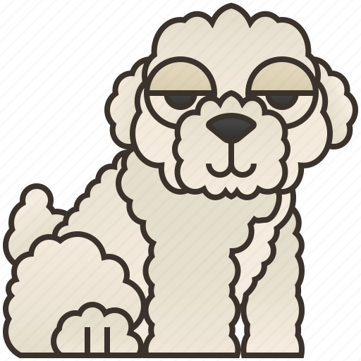 Bichon, cute, frise, furry, puppy icon - Download on Iconfinder