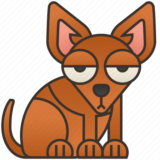 Adorable, animal, chihuahua, dog, puppy icon - Download on Iconfinder