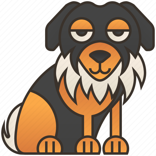 Australian, dog, pedigree, pet, shepherd icon - Download on Iconfinder