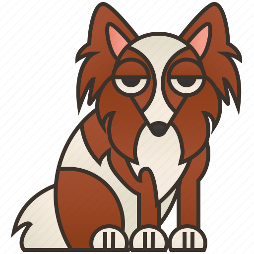 Cute, dog, domestic, papillion, small icon - Download on Iconfinder