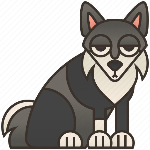 Domestic, husky, pet, purebred, siberian icon - Download on Iconfinder