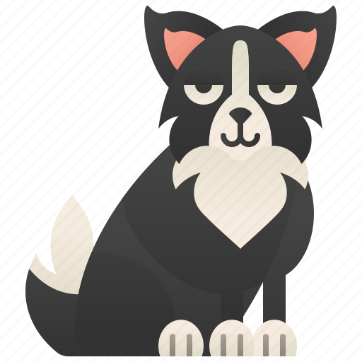 Border, collie, dog, herding, obedience icon - Download on Iconfinder