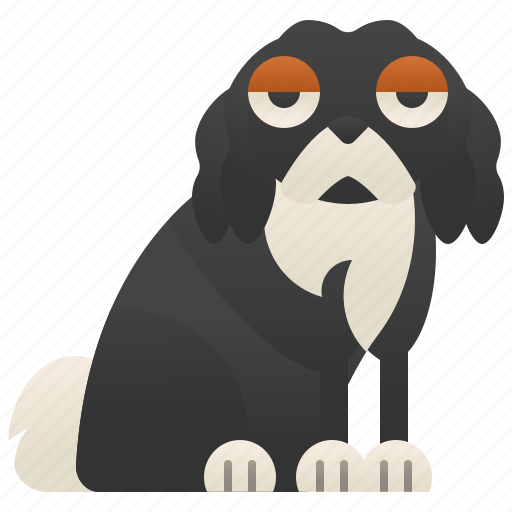 British, cavalier, dog, gentle, spaniel icon - Download on Iconfinder