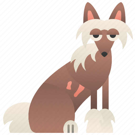 Chinese, crested, dog, hairdo, pet icon - Download on Iconfinder