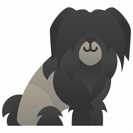 Dog, lion, lowchen, small icon - Download on Iconfinder