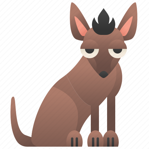 Active, dog, hairless, mexican, xolo icon - Download on Iconfinder