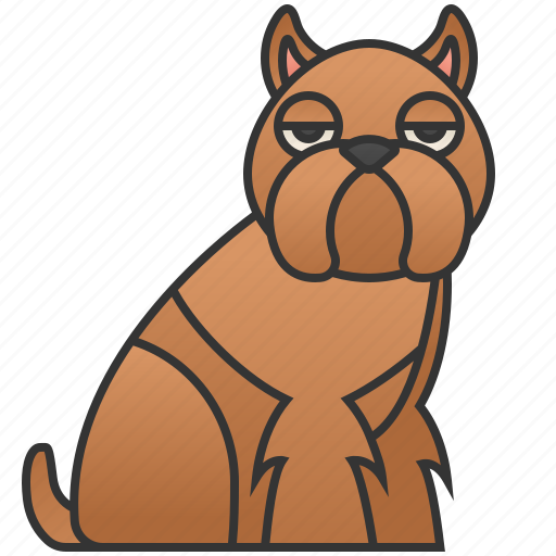 Breed, brussles, cheerful, dog, griffon icon - Download on Iconfinder