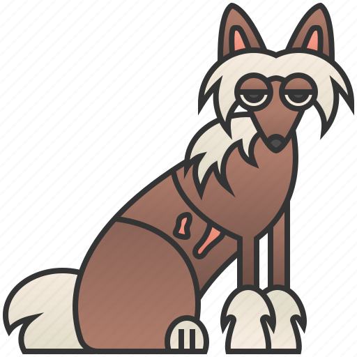 Chinese, crested, dog, hairdo, pet icon - Download on Iconfinder