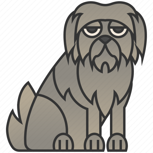 Canine, grey, irish, tall, wolfhound icon - Download on Iconfinder