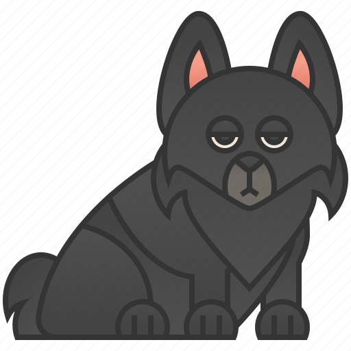Belgium, breed, dog, schipperke icon - Download on Iconfinder