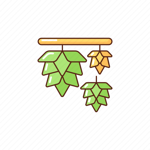 Hop, beer brewing, brewery, beer icon - Download on Iconfinder