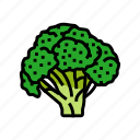 broccoli, food, cabbage, vegetable, brocolli, green
