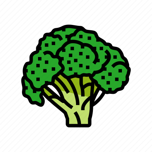 Broccoli, food, cabbage, vegetable, brocolli, green icon - Download on Iconfinder