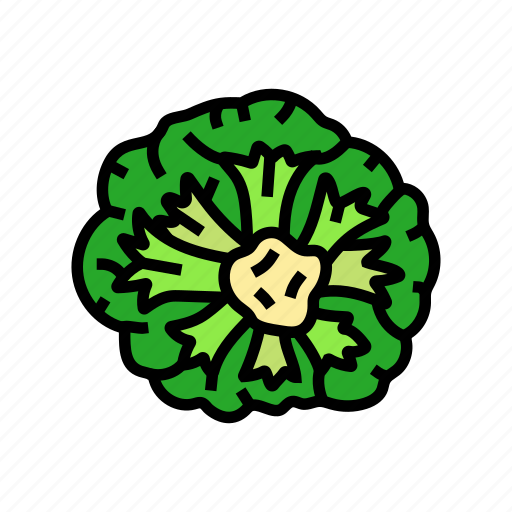 Broccoli, green, food, cabbage, vegetable, brocolli icon - Download on Iconfinder