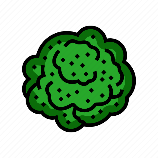 Broccoli, plant, food, cabbage, vegetable, brocolli icon - Download on Iconfinder
