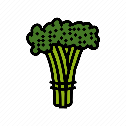Broccoli, rabe, food, cabbage, vegetable, brocolli icon - Download on Iconfinder