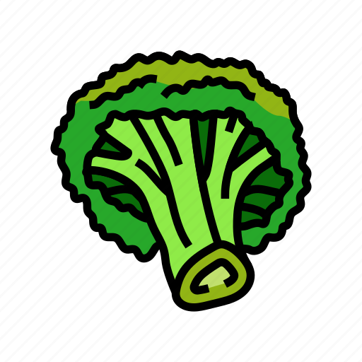 Broccoli, vegetable, food, cabbage, brocolli, green icon - Download on Iconfinder