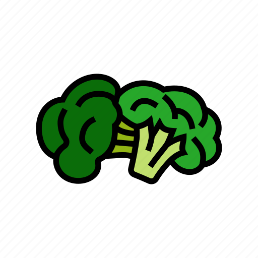 Broccoli, vitamin, food, cabbage, vegetable, brocolli icon - Download on Iconfinder