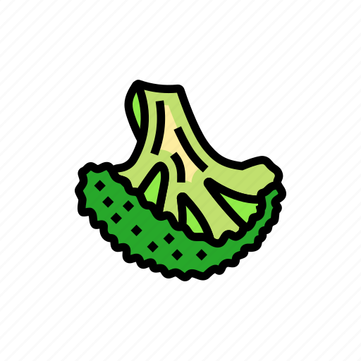 Cut, broccoli, food, cabbage, vegetable, brocolli icon - Download on Iconfinder