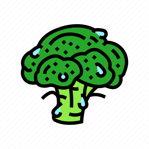 Fresh, broccoli, food, cabbage, vegetable, brocolli icon - Download on Iconfinder