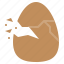 egg, broken, cracked, food, protein