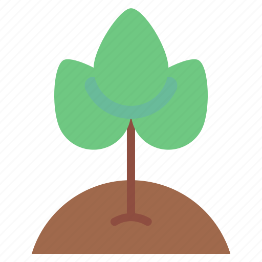 Ecology, environment, green, growth, leaf, plant, tree icon - Download on Iconfinder